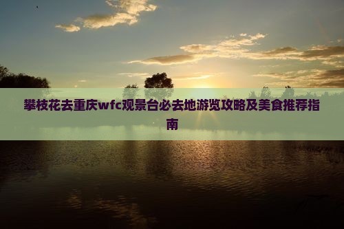 攀枝花去重庆wfc观景台必去地