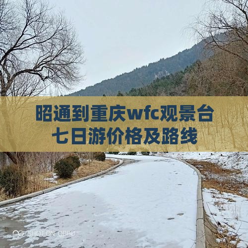 昭通到重庆wfc观景台七日游