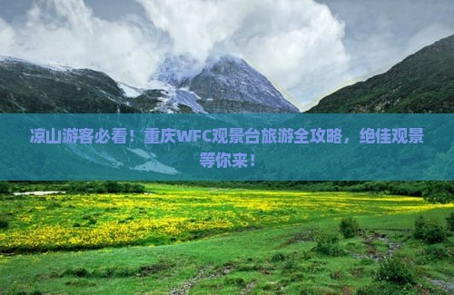 凉山去重庆wfc观景台攻略