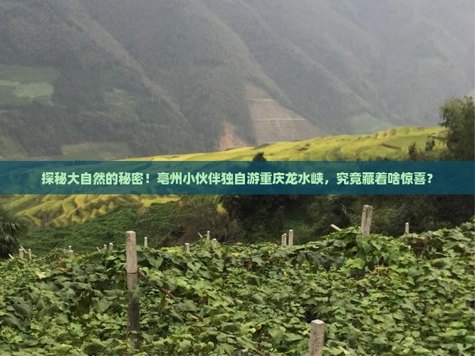 亳州到重庆龙水峡地缝个人游