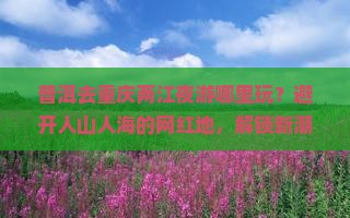 普洱去重庆两江夜游哪里玩