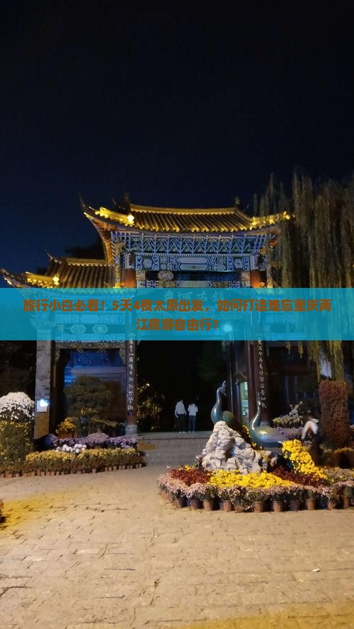 太原去重庆两江夜游自由行