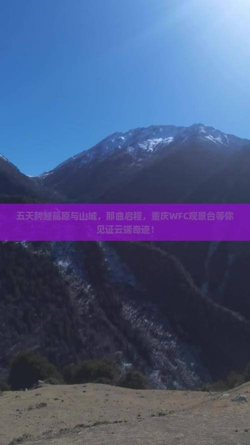 那曲到重庆wfc观景台五日游