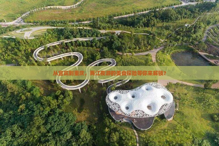 宜宾到重庆两江夜游旅游小吃