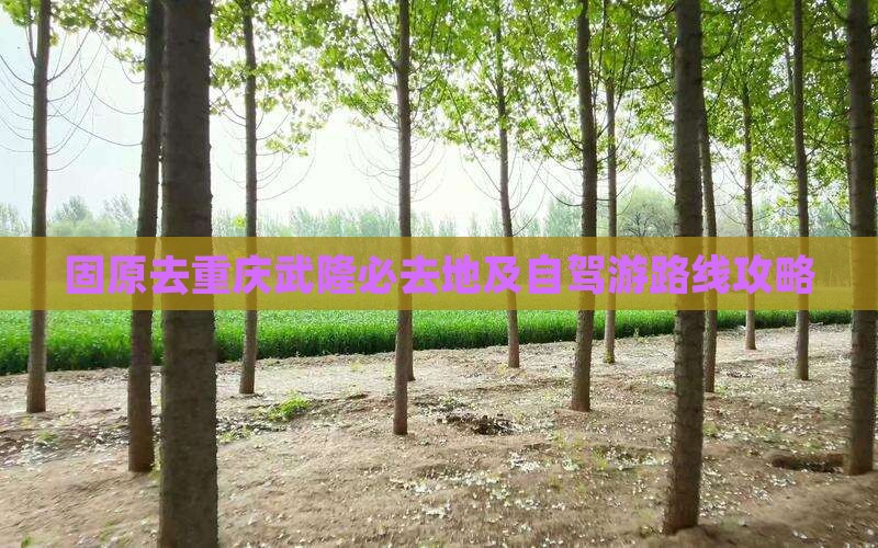 固原去重庆武隆必去地