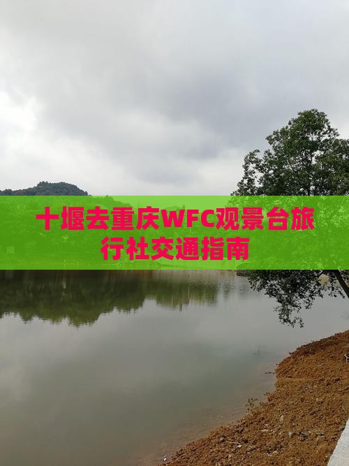 十堰去重庆wfc观景台旅行社