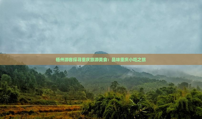 梧州去重庆旅游小吃