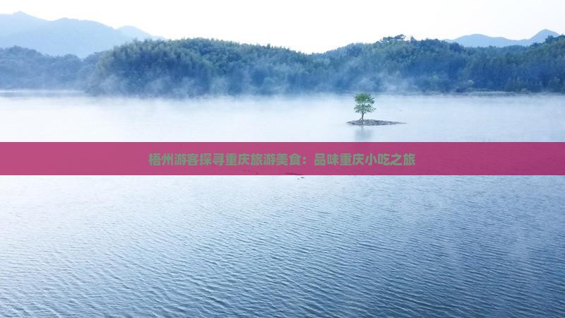 梧州去重庆旅游小吃