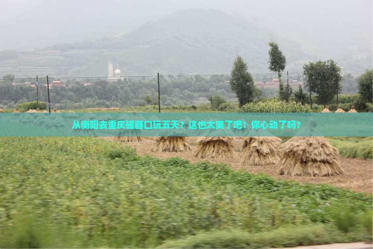 衡阳到重庆磁器口五日游