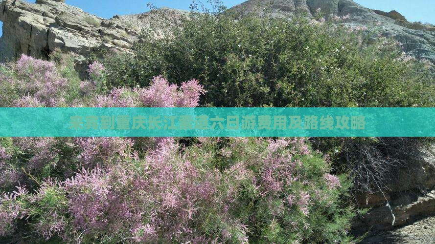 来宾到重庆长江索道六日游