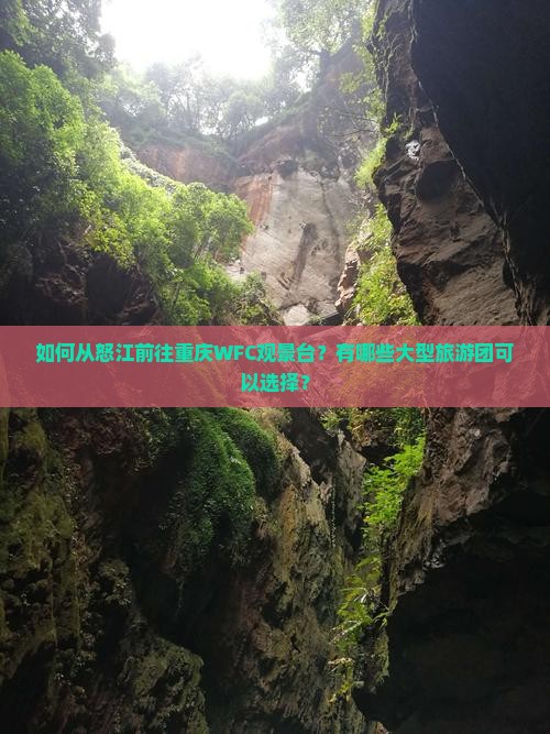怒江去重庆wfc观景台大型旅游团