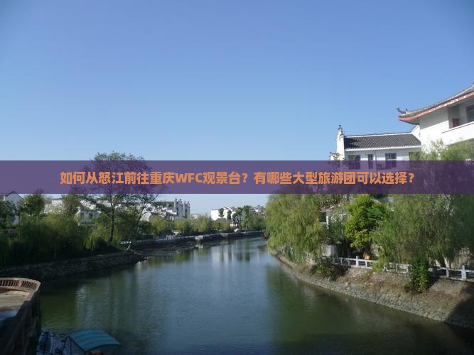 怒江去重庆wfc观景台大型旅游团