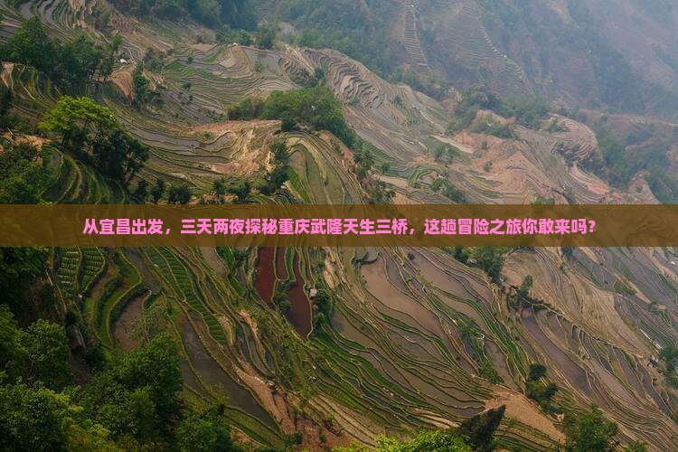 宜昌去重庆武隆天生三桥三日游