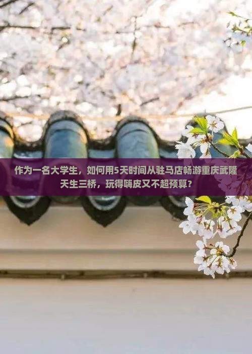 驻马店去重庆武隆天生三桥旅游