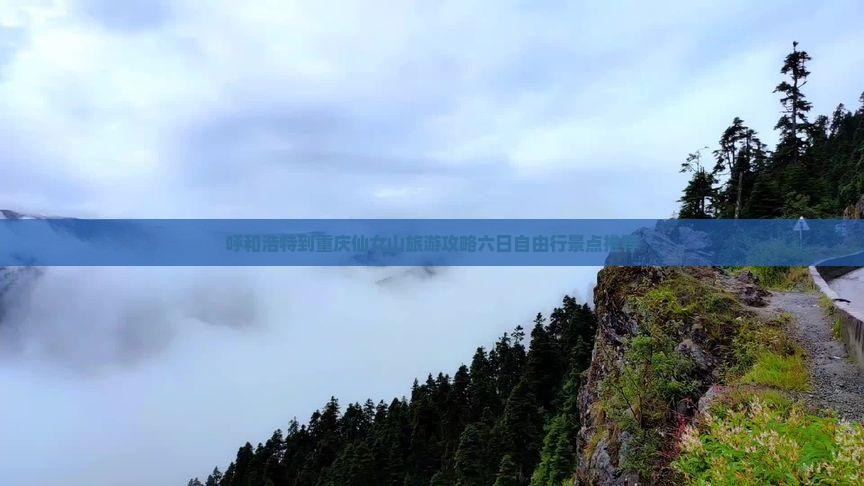呼和浩特去重庆仙女山六日游