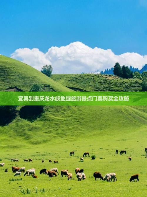 宜宾去重庆龙水峡地缝门票