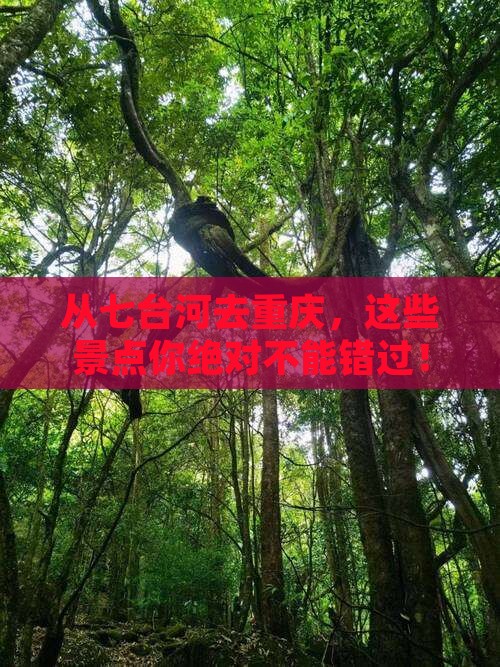 七台河到重庆景点