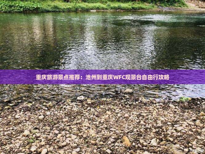 池州到重庆wfc观景台自由团
