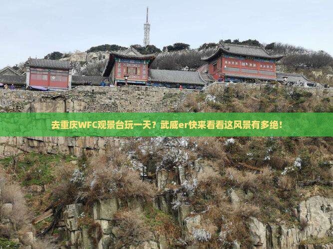 武威去重庆wfc观景台一日