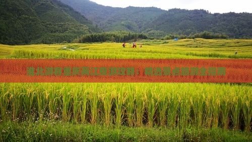 淮北去重庆两江夜游攻略