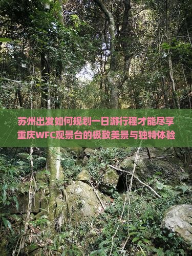 苏州去重庆wfc观景台哪里玩
