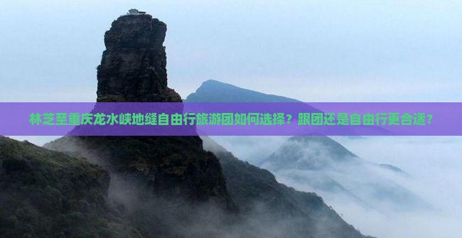 林芝到重庆龙水峡地缝自由团