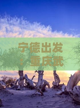 宁德到重庆武隆一日