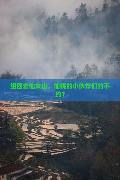 仙桃去重庆仙女山团体旅游