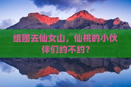 仙桃去重庆仙女山团体旅游