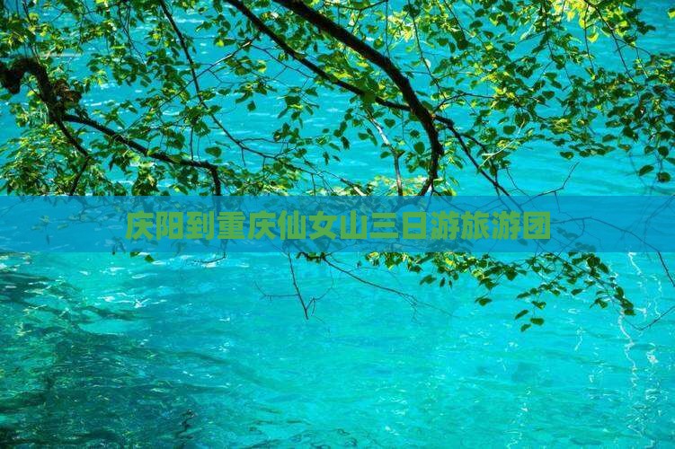 庆阳去重庆仙女山大型旅游团