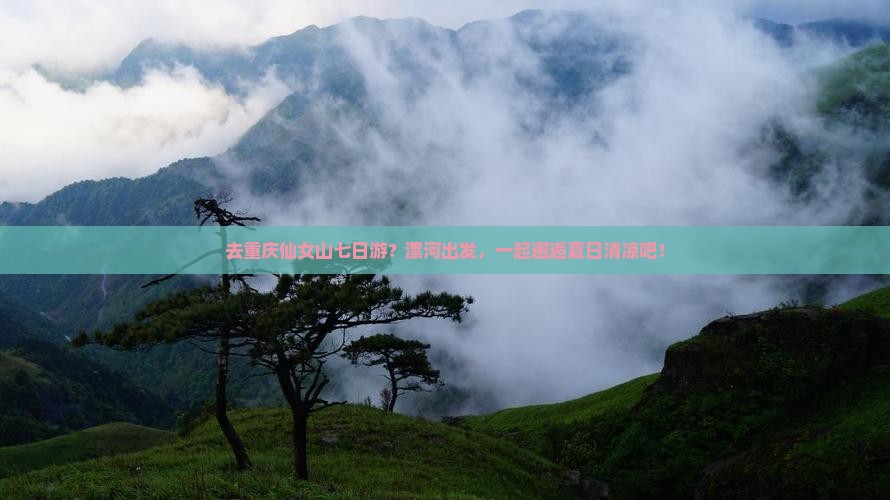 漯河去重庆仙女山七日游