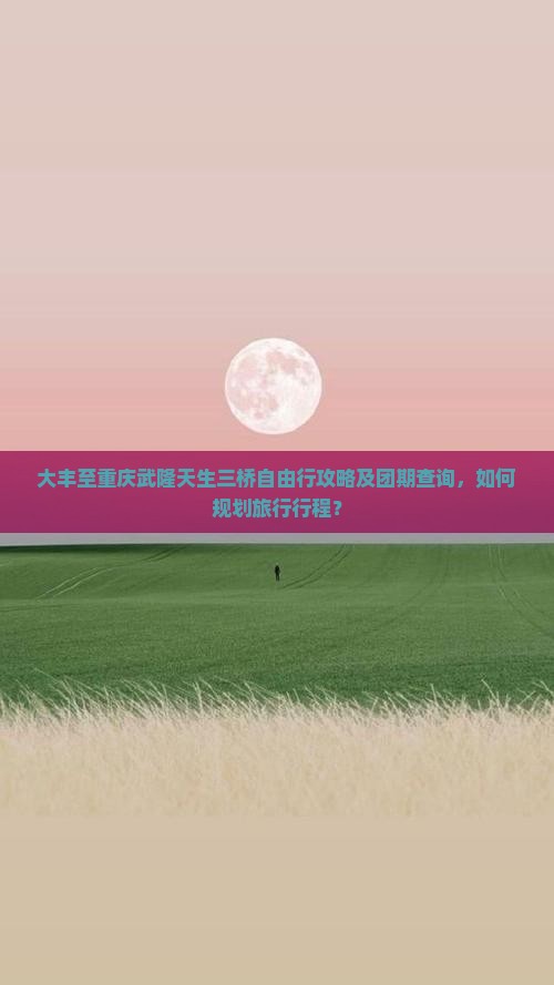 大丰去重庆武隆天生三桥自由团