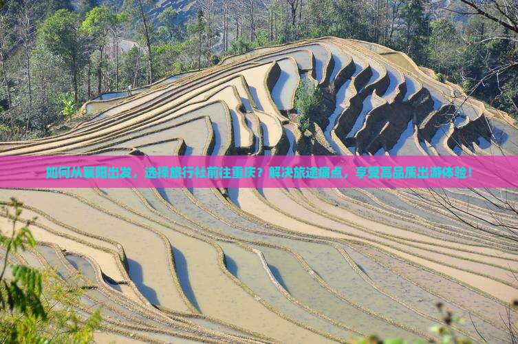 襄阳去重庆旅行社