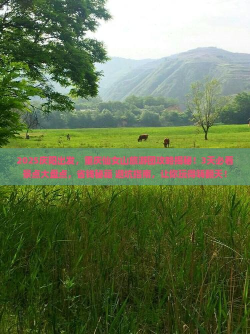 庆阳到重庆仙女山大型旅游团