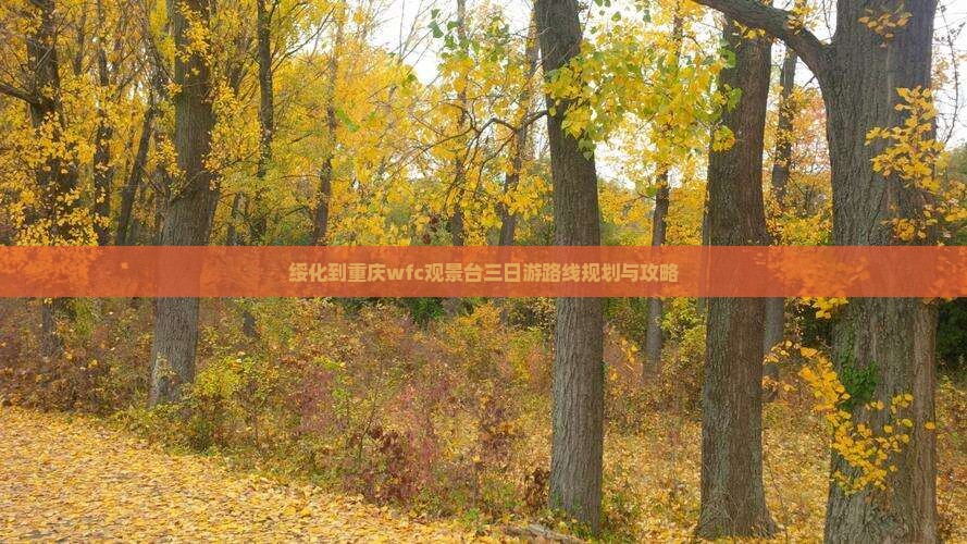 绥化到重庆wfc观景台三日游