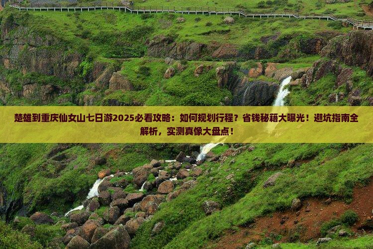 楚雄到重庆仙女山七日游