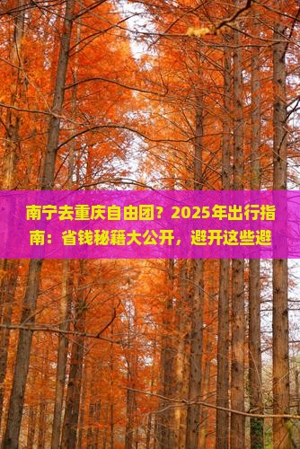 南宁去重庆自由团