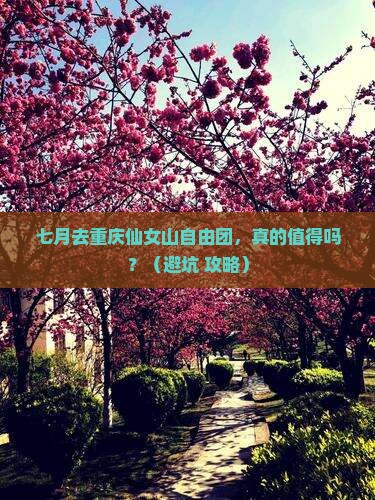 七月去重庆仙女山自由团