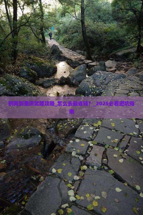 鹤岗到重庆武隆攻略