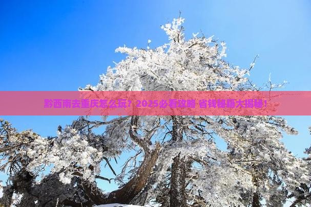 黔西南去重庆攻略