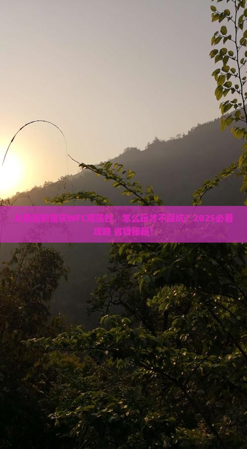 恩施去重庆wfc观景台攻略