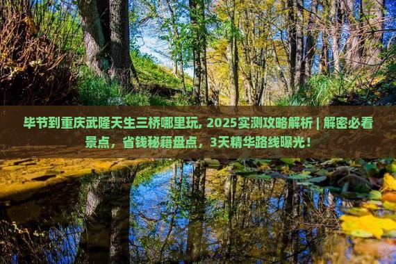 毕节到重庆武隆天生三桥哪里玩