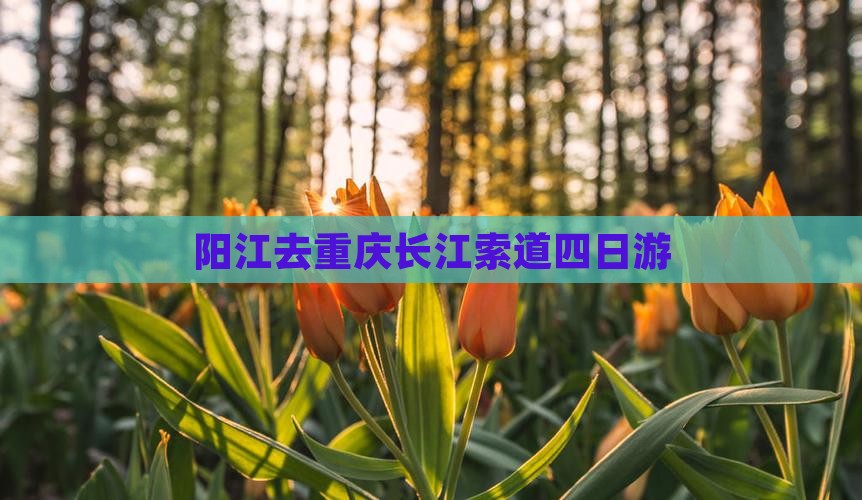 阳江去重庆长江索道四日游