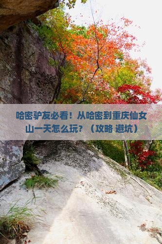 哈密到重庆仙女山一日
