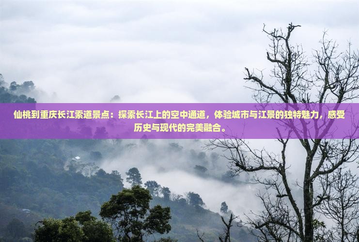 仙桃到重庆长江索道景点