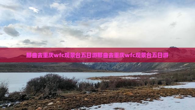 那曲去重庆wfc观景台五日游