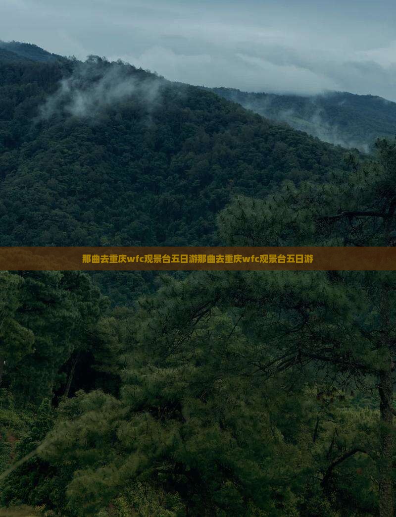那曲去重庆wfc观景台五日游