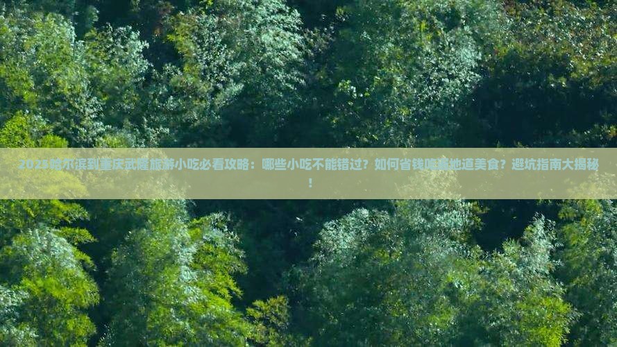 哈尔滨到重庆武隆旅游小吃