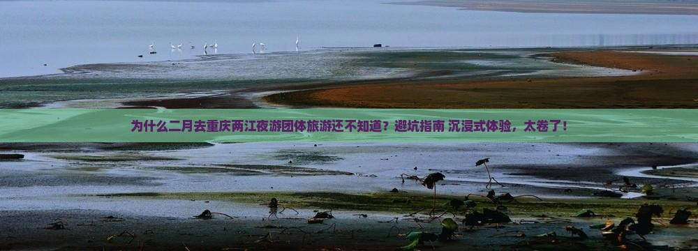 二月去重庆两江夜游团体旅游