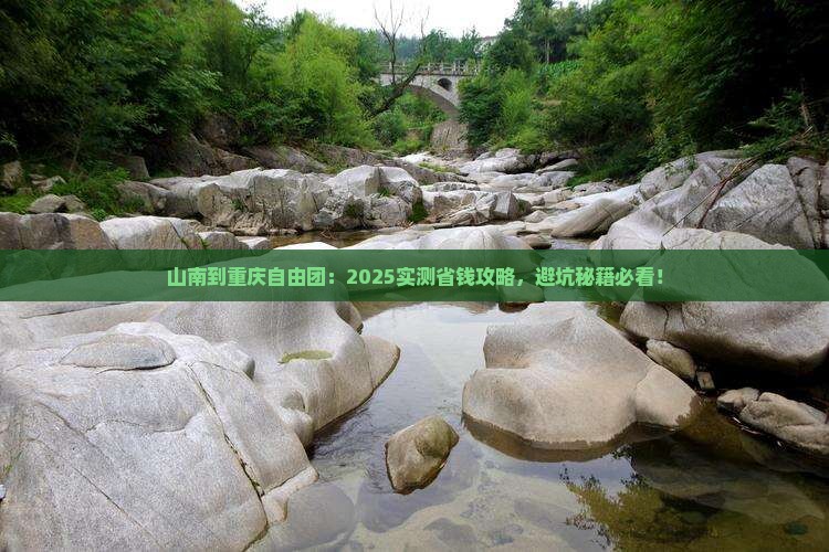 山南到重庆自由团